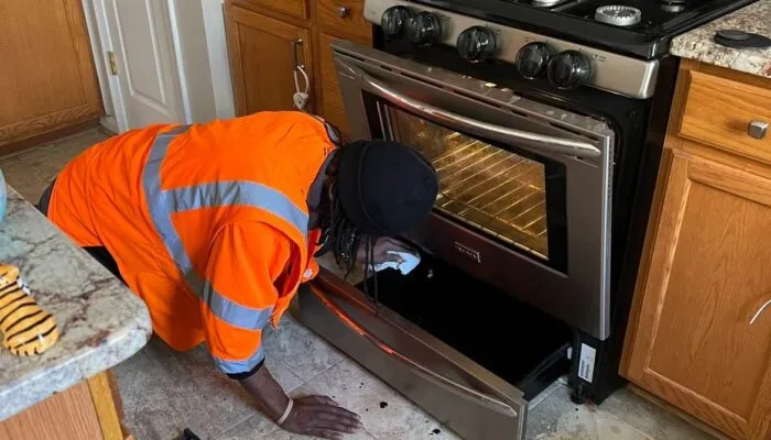 Our Professional Team