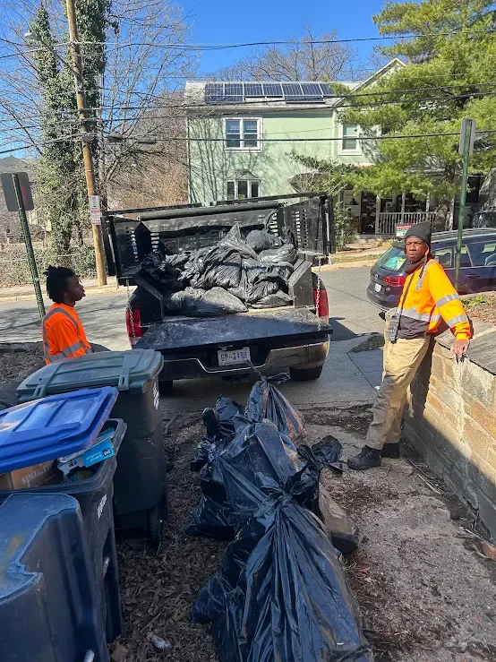 Junk Removal Detail 1